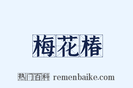 梅花椿是什么意思的图片